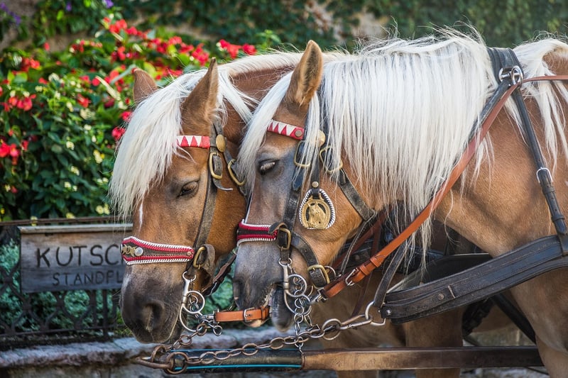 Vintage Carriage